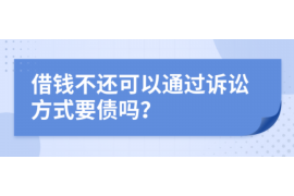 思南为什么选择专业追讨公司来处理您的债务纠纷？